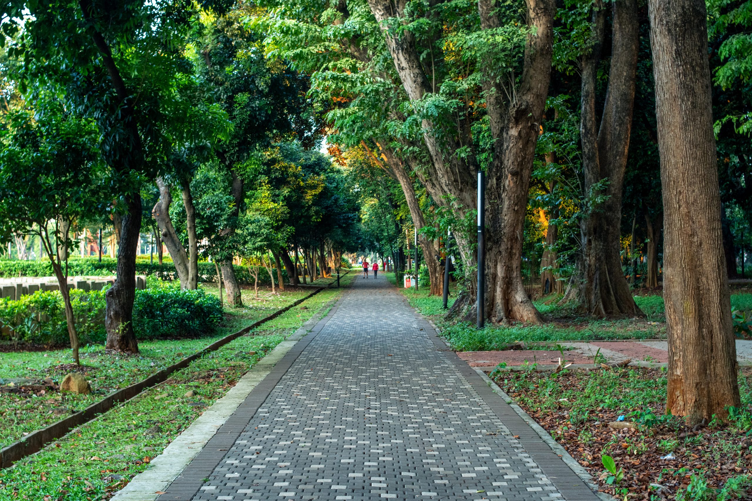 manfaat taman untuk kesehatan